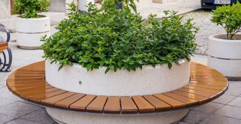 Bakırköy’de Caddelerdeki Ağaçların Bakımı ve “Makyaj” Zamanı