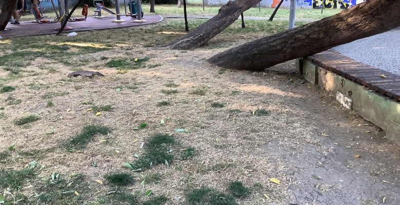 Kartaltepe Vatandaşlarına Çağrımızdır