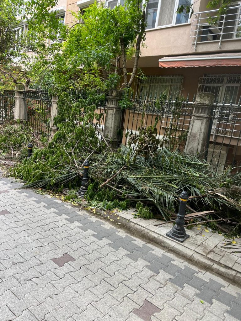 Bakırköy’de Yakut Sokak’taki Çöpler Unutuldu Mu?