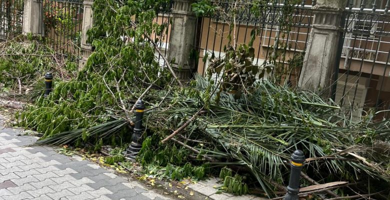 Bakırköy’de Yakut Sokak’taki Çöpler Unutuldu Mu?