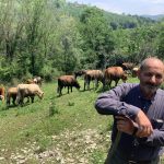 Hatunoğullari Çiftliğinde Kurucusu Abdülhamit  Özbek Çobanlığın Anlamı Nedir?