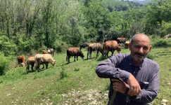 Hatunoğullari Çiftliğinde Kurucusu Abdülhamit Özbek Çobanlığın Anlamı Nedir? Hatunoğullari Çiftliğinde Kurucusu Abdülhamit Özbek Çobanlığın Anlamı Nedir?