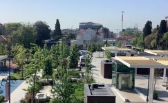 Bakırköy Özgürlük Meydanı’nda Yaşanan Görüntüyü Belediye Zabıtası Görmüyor mu?