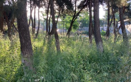Ataköy Protokol Camii Yakınındaki Yeşil Alan Halka Kazandırılmalı