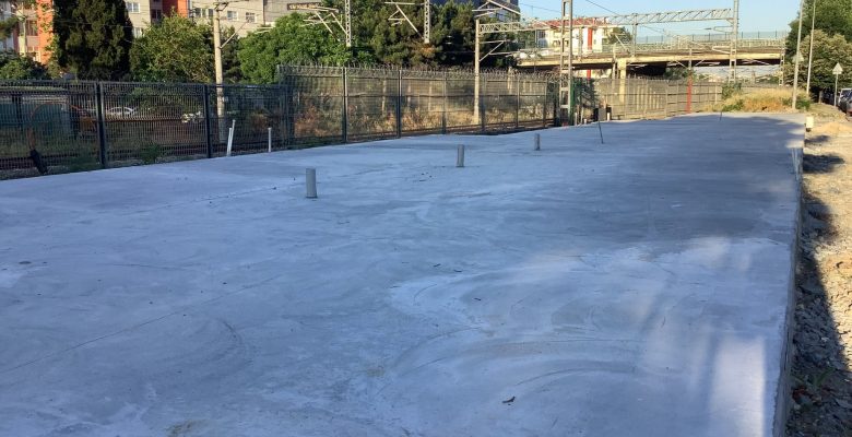 Ataköy’de Ağaç Kesildi, Yerine Beton Döküldü: Devletin Temsilcileri Neden Sessiz Kaldı?