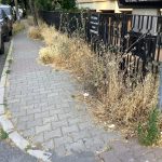 Kaldırımlar Caddelerin Kravatıdır