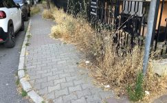 Kaldırımlar Caddelerin Kravatıdır