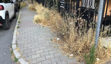Kaldırımlar Caddelerin Kravatıdır
