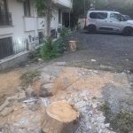 Bakırköy Gençler Caddesi’nde Ağaç Kesildi mi?