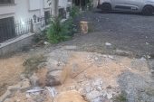 Bakırköy Gençler Caddesi’nde Ağaç Kesildi mi?