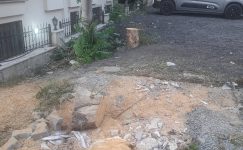 Bakırköy Gençler Caddesi’nde Ağaç Kesildi mi?