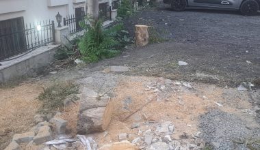 Bakırköy Gençler Caddesi’nde Ağaç Kesildi mi?