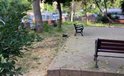 Osmaniye Mahallesi Muhtarı Serdar Uzunoğlu’na Hatırlatma