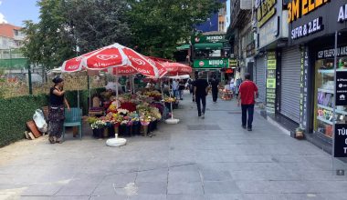 Hatboyu Çıkışı Sokaktaki Çiçekçiler Hakkında