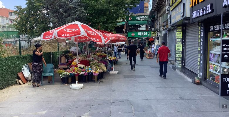 Hatboyu Çıkışı Sokaktaki Çiçekçiler Hakkında