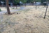 Bakırköy Kartaltepe Millet Parkı’na Gelen Çocuklardan Özür Diliyoruz Bakırköy Kartaltepe Millet Parkı’na Gelen Çocuklardan Özür Diliyoruz