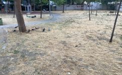 Bakırköy Kartaltepe Millet Parkı’na Gelen Çocuklardan Özür Diliyoruz Bakırköy Kartaltepe Millet Parkı’na Gelen Çocuklardan Özür Diliyoruz