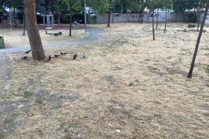 Bakırköy Kartaltepe Millet Parkı’na Gelen Çocuklardan Özür Diliyoruz