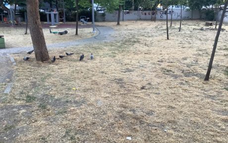 Bakırköy Kartaltepe Millet Parkı’na Gelen Çocuklardan Özür Diliyoruz