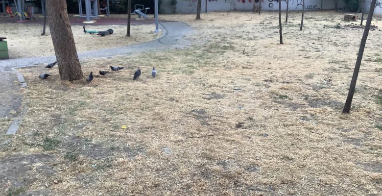 Bakırköy Kartaltepe Millet Parkı’na Gelen Çocuklardan Özür Diliyoruz