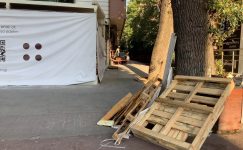 Bakırköy İncirli Caddesi Neden Çöp Alanına Dönüştürülüyor?