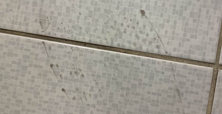 Yaşadığı Alanda Dağınıklığı Evli Erkeklere ve Bekâr Gençlere Çağrımızdır