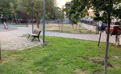 Millet Parkı’nın Bir Tarafında Sulama Sistemi Neden Unutuldu?